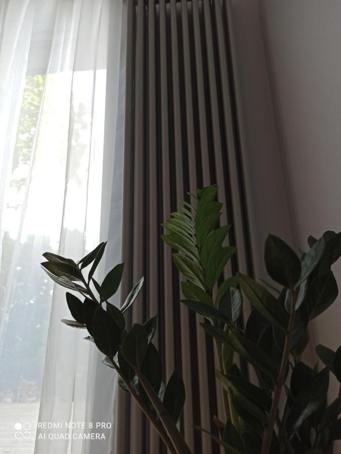 New Big Loft Apartments Jurmala With Free Secured Parking ภายนอก รูปภาพ